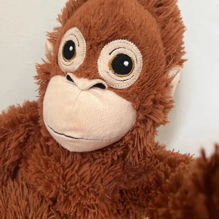 vilithemonkey