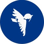 The Robin