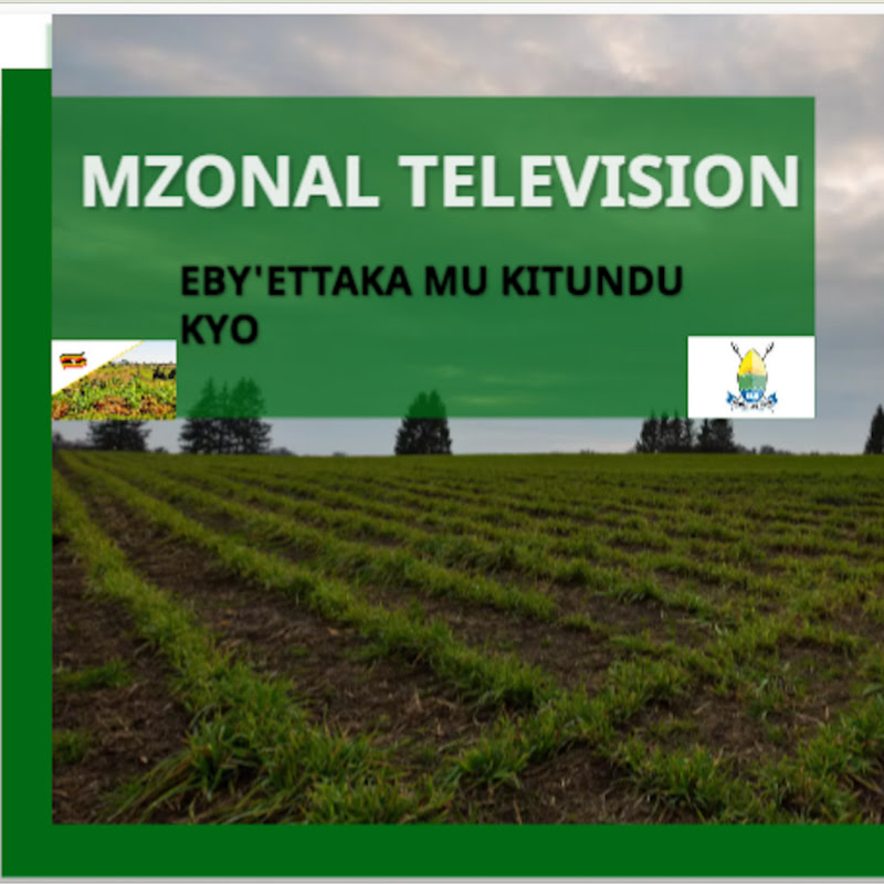 Mzonal Television (TV YE BY'ETTAKA)