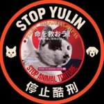 Feline Guardians Japan🇯🇵without borders🌏