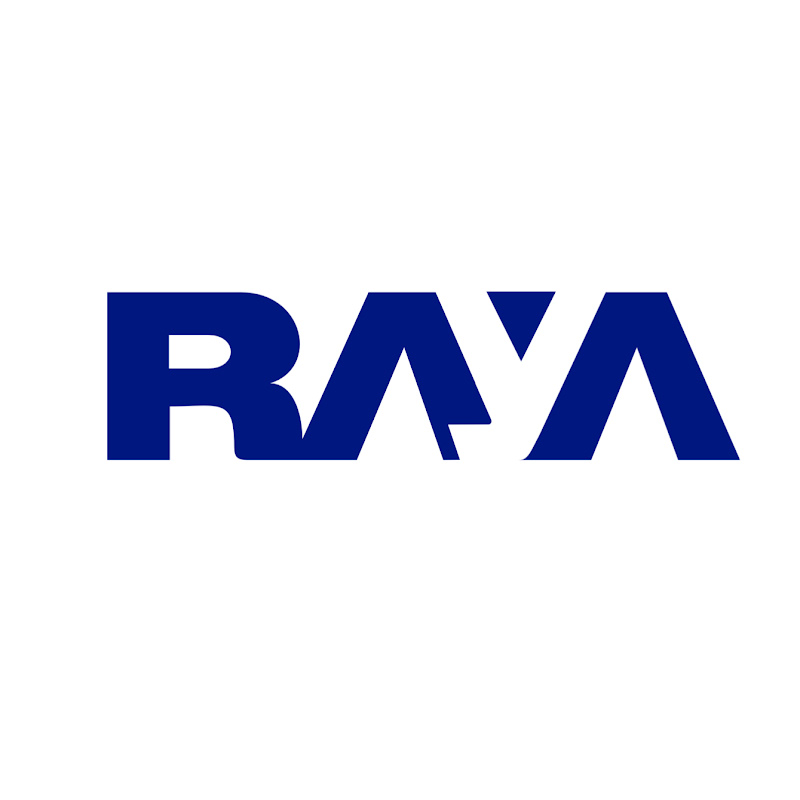Raya Holding For Financial Investments