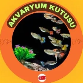 Akvaryum Kutusu