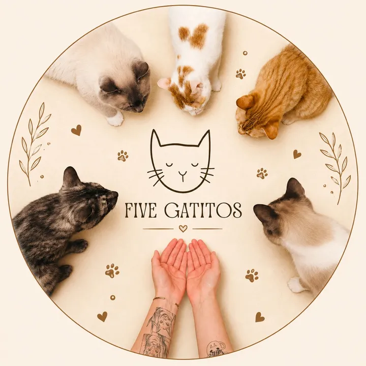 FiveGatitos