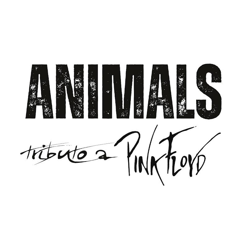 Animals Tributo