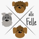 Lena | Hundetrainerin & Hundefriseurin