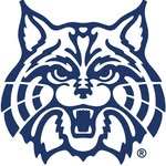 Wilmington Wildcats Athletic Department