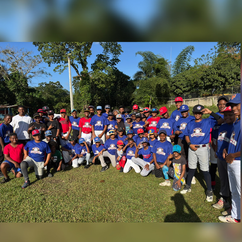 FDP BASEBALL