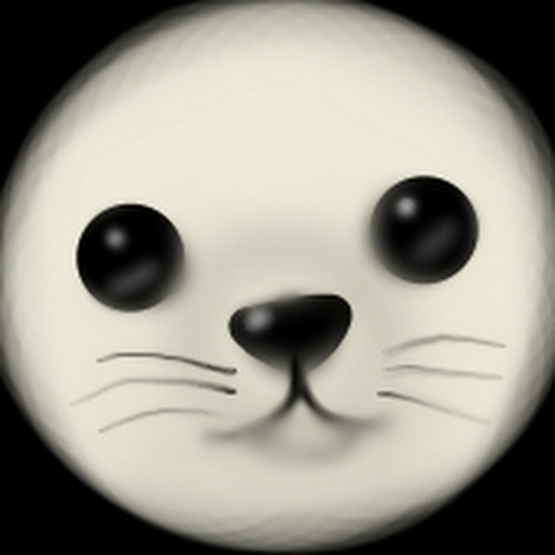 씨얼 SEAL 🦭