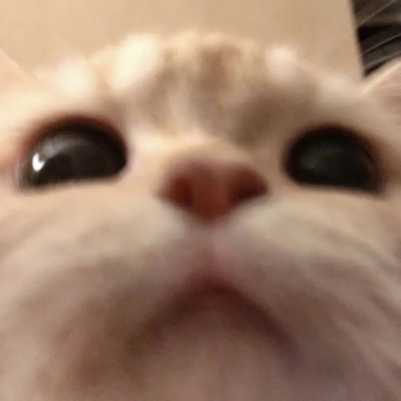ImNotKev