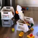 ♡𝕄𝕠𝕞𝕖𝕟𝕥𝕤 𝕠𝕗 ℍ𝕒𝕣𝕝𝕖𝕪'𝕤 𝕝𝕚𝕗𝕖♡