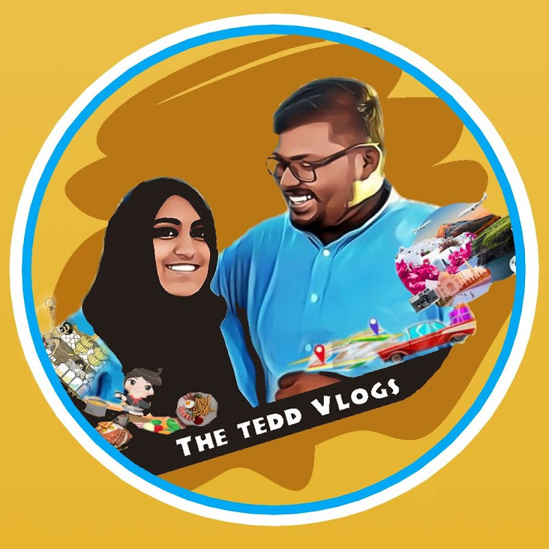 The Tedd Vlogs