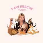 Paw Rescue Turkey