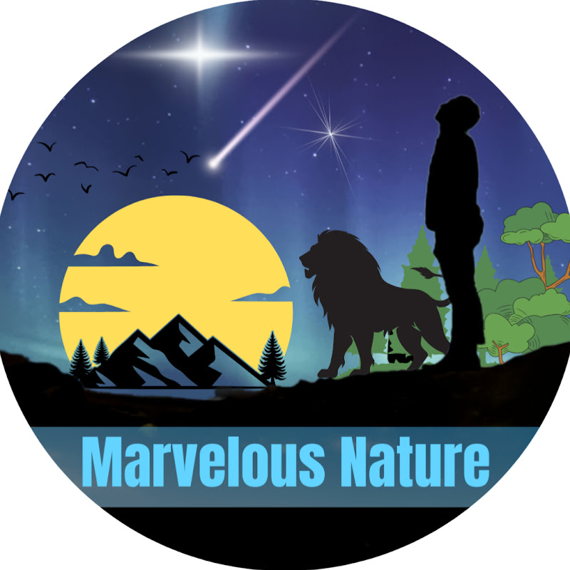 MARVELOUS NATURE