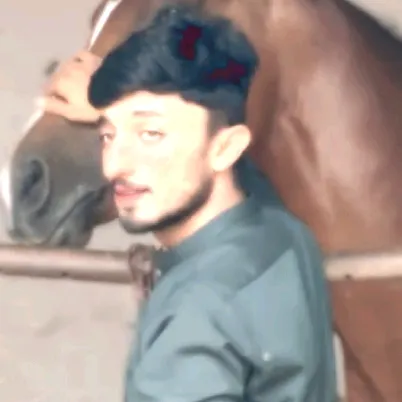 Shah Fahad khan 🇵🇰🇬🇧