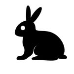 Rabbit Make Me Happy
