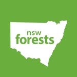 Visit NSW Forests