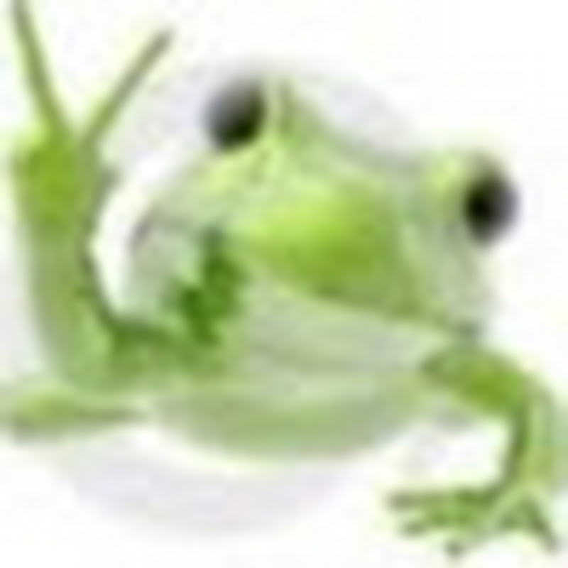 Frogman79