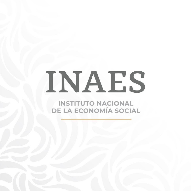 INAES TV