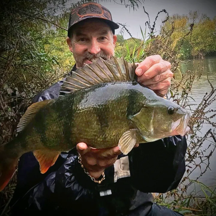 🆆🆈🅴🅿🅴🆁🅲🅷