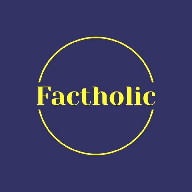 FactoHolic