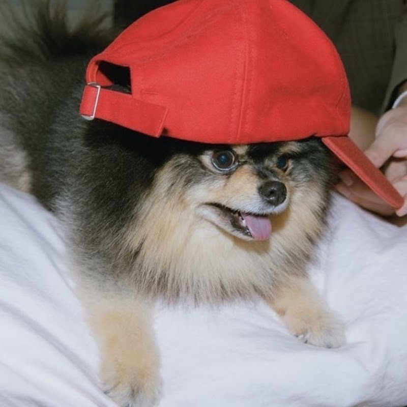BIAV Channel