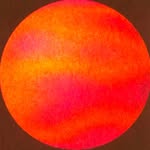 楊艾倫 Allen Yang