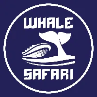 Whale Safari