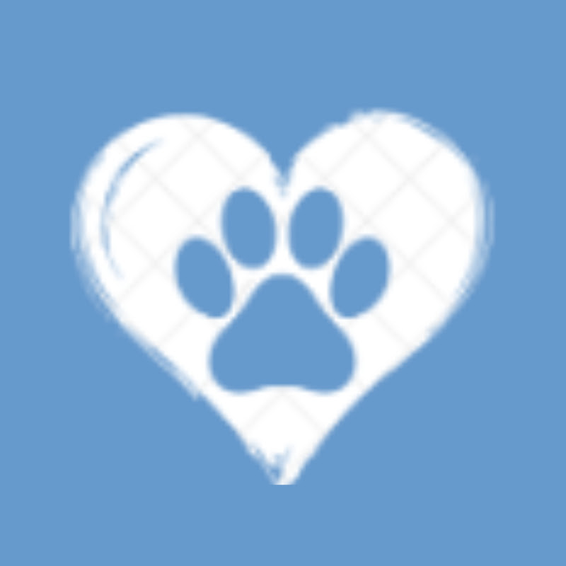 Cute Pet Love