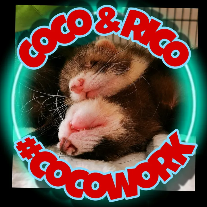 Coco & Rico