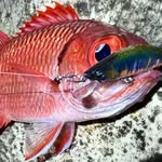 NeekzGoneFishin