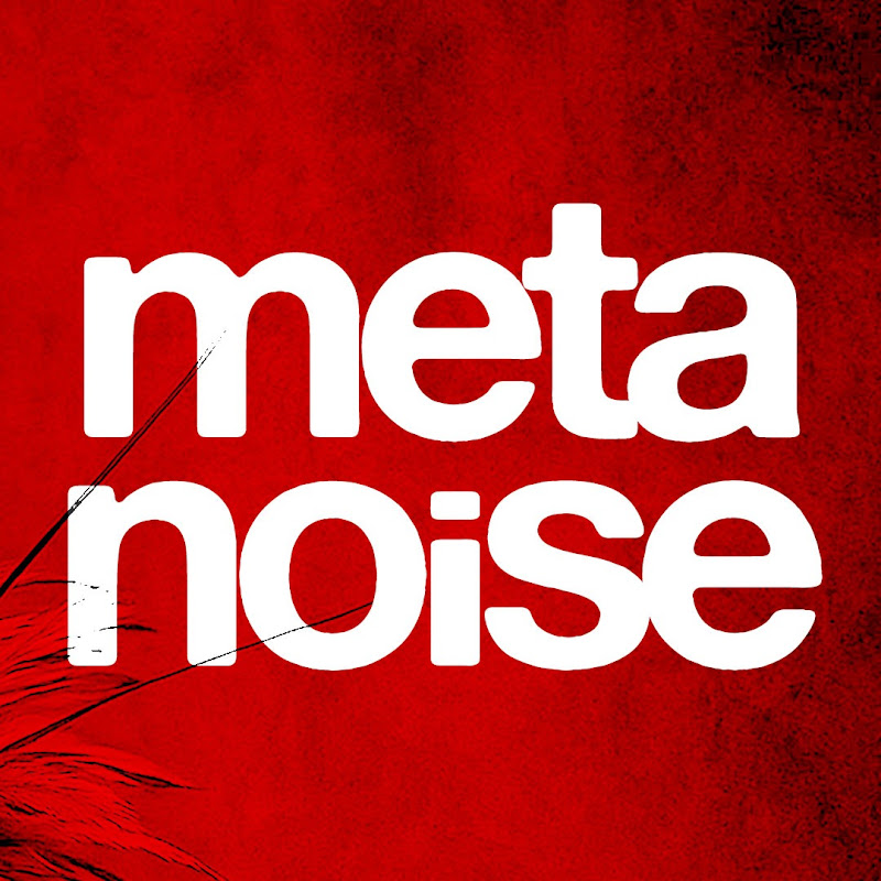 Metanoise