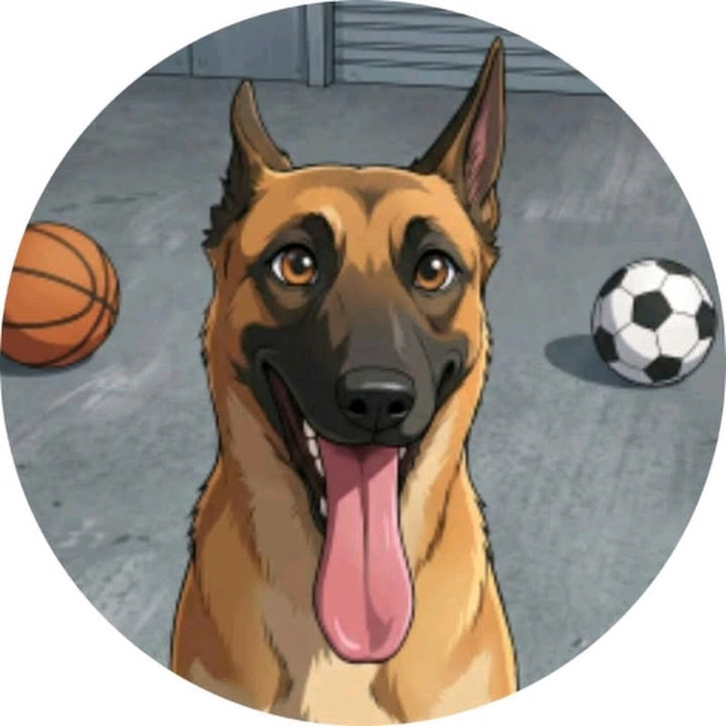 DR. Training DOG