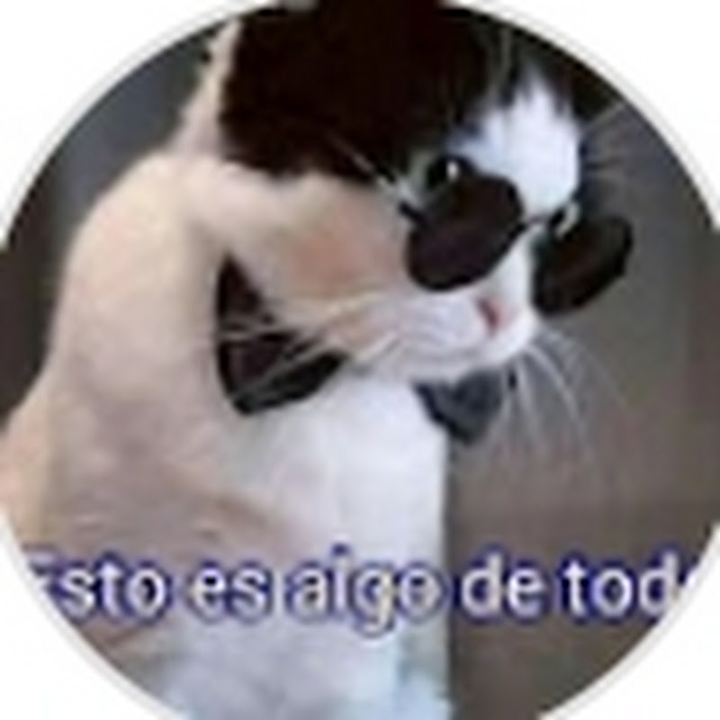 Esto es algo de todo