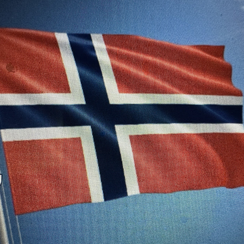 Oslo South Indian Lady