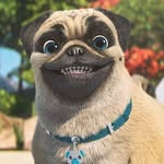Gooogle n Twitter | The Pug