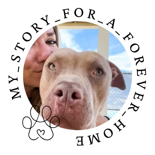 Mystory_for_a_forever_home