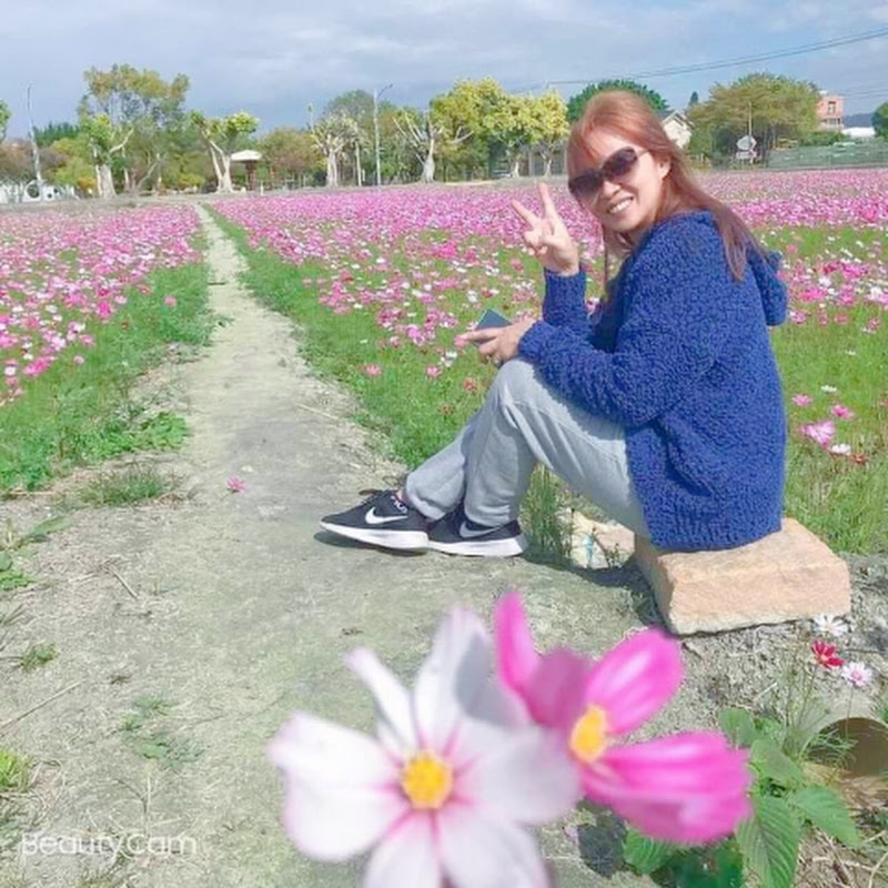  Cherry  Adventure 