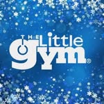 The Little Gym of Fort Worth
