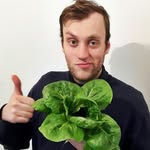 Urban Farming | Hydroponics