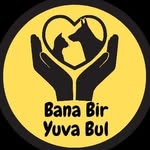 Bana bir yuva bul Antalya (şifa evi )