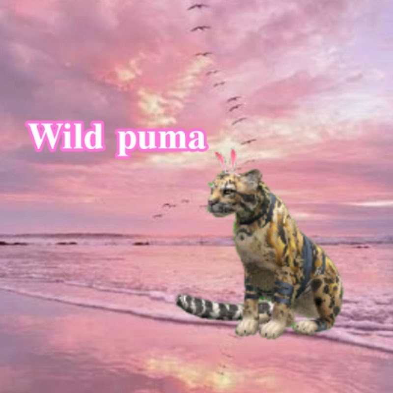 ★•Wild Puma YT•★