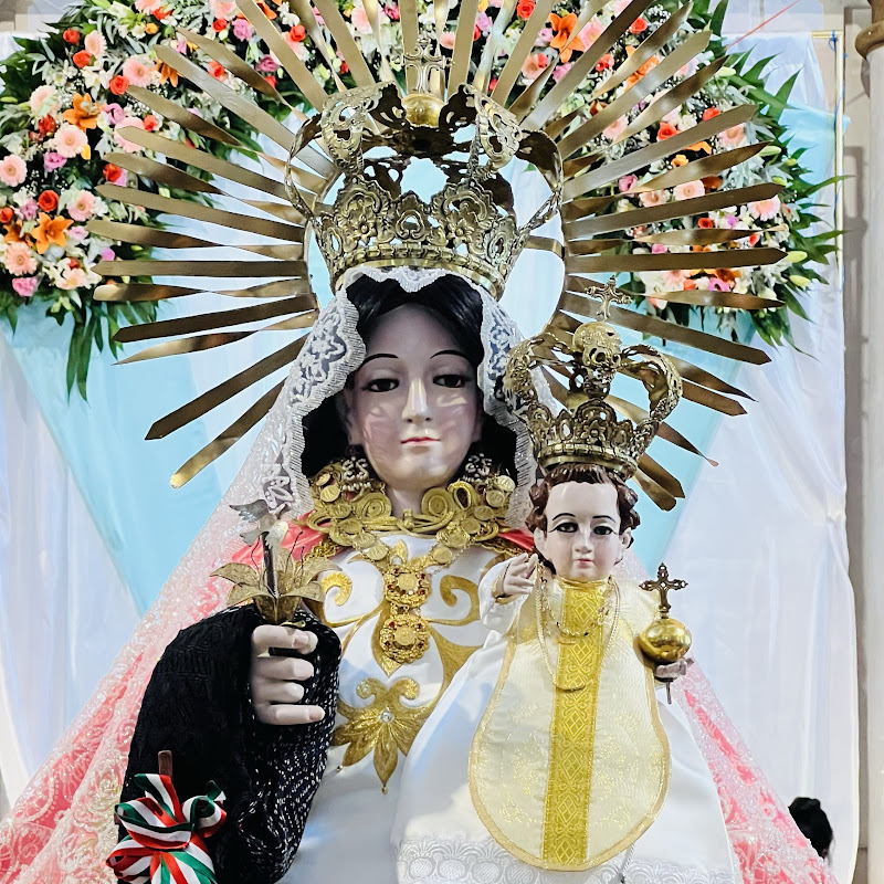 SANTA MARIA ZOQUITLAN OAXACA