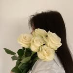 𝐇𝐚𝐬𝐧𝐚 𝐁𝐨𝐮𝐜𝐞𝐭𝐭𝐚