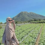 Yulya Surnita Lestari