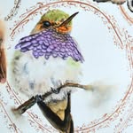 Marta Wolska | Bird Watercolor Artist