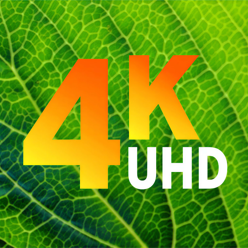 4K Video Nature