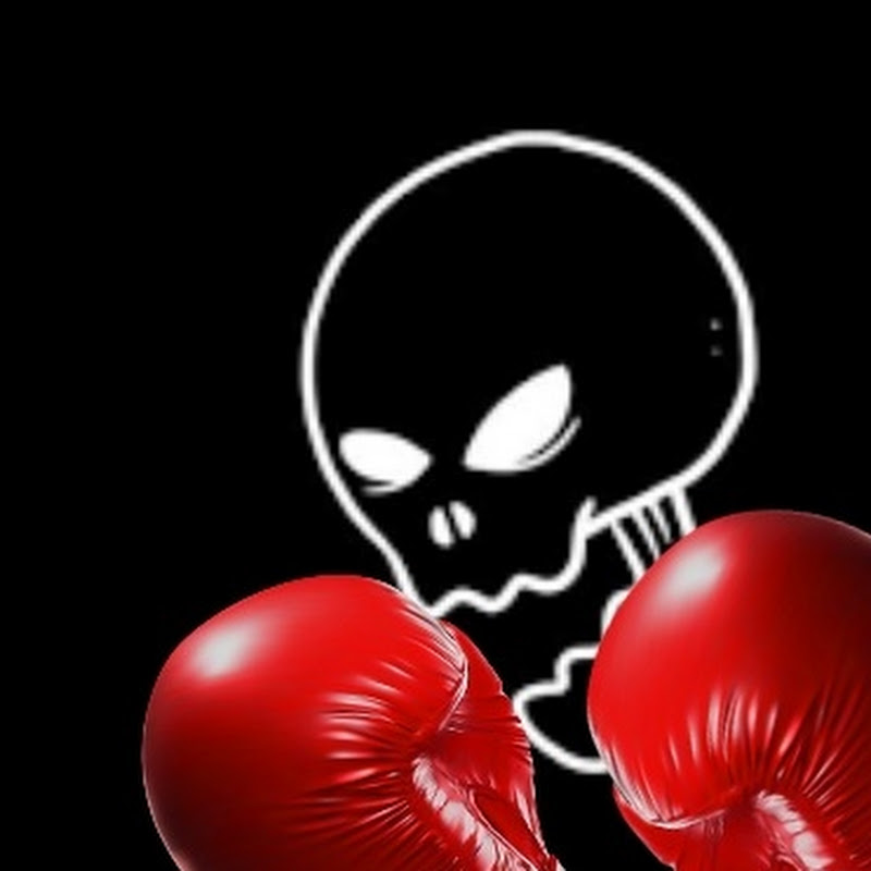 Fight Skullz