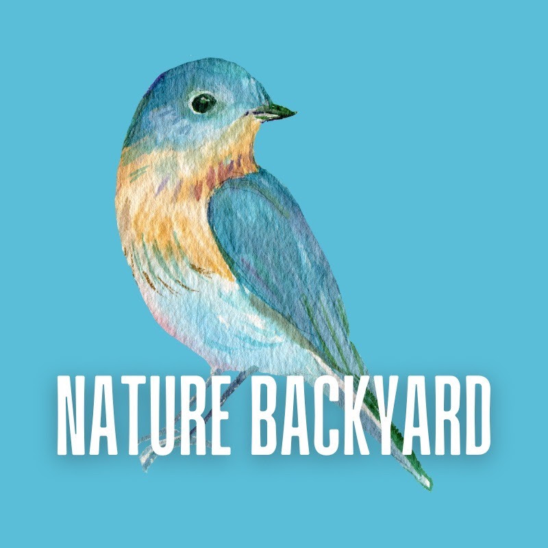 Nature Backyard