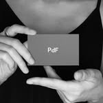 피디에프 | 브랜딩 | 로고 | 컨설팅