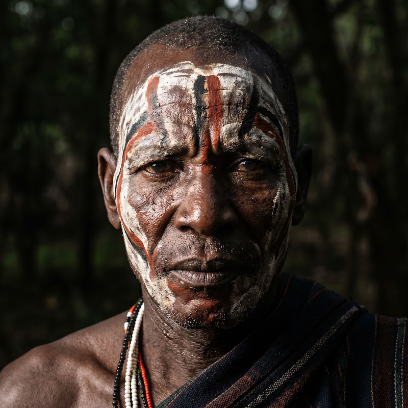 Wild Tribe Stories